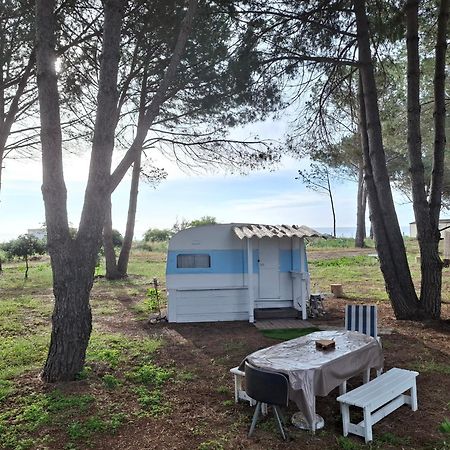 Caravane Janis On The Beach Lucciana  Εξωτερικό φωτογραφία