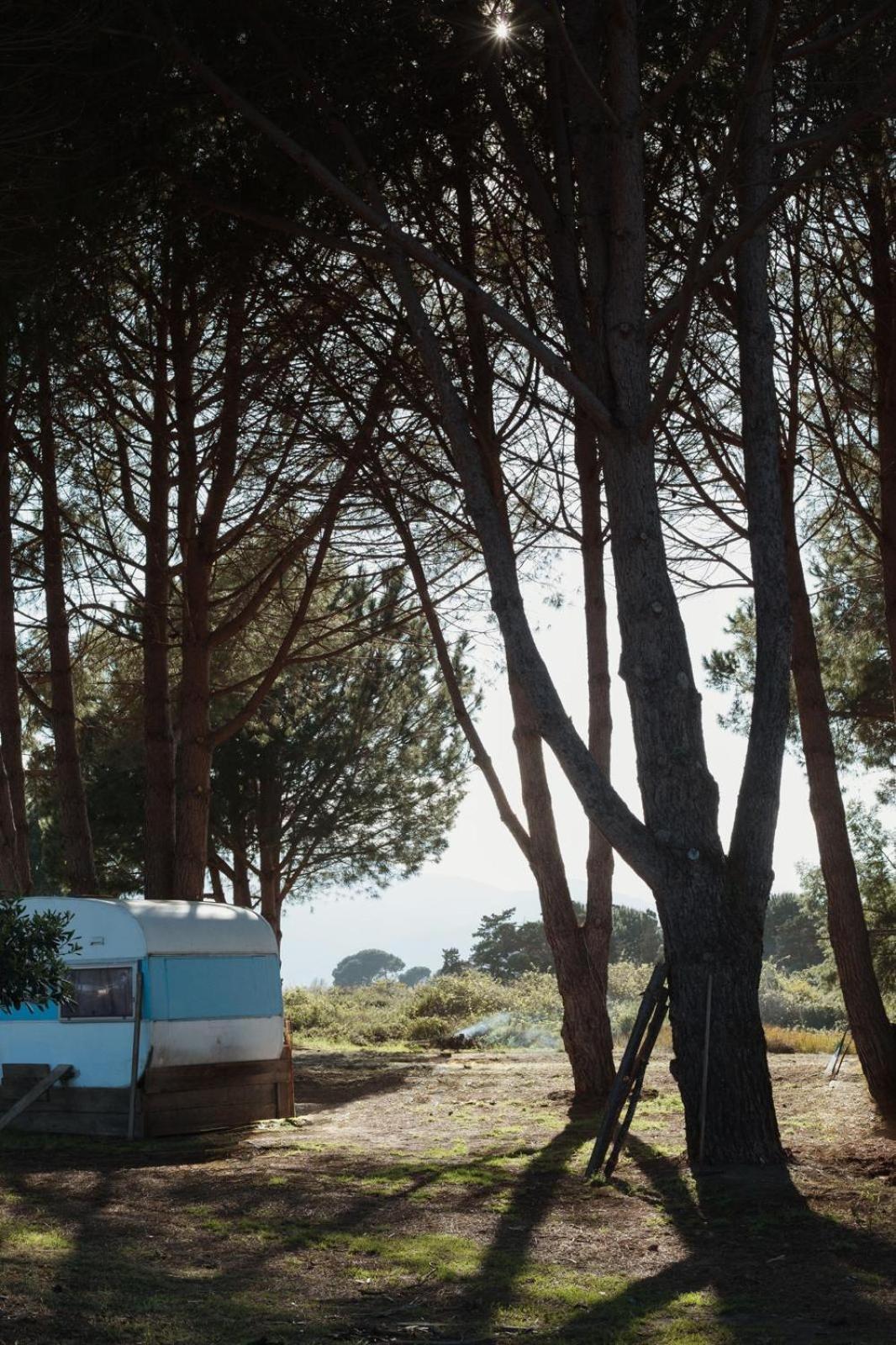 Caravane Janis On The Beach Lucciana  Εξωτερικό φωτογραφία